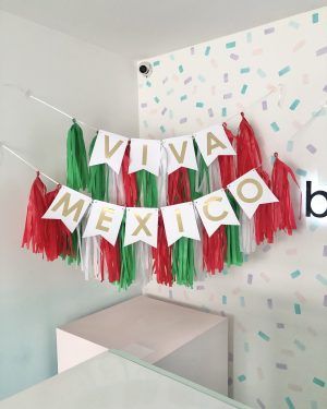 Banner "Viva México"