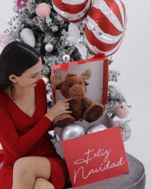 Moon Box Navideña y Peluche Reno